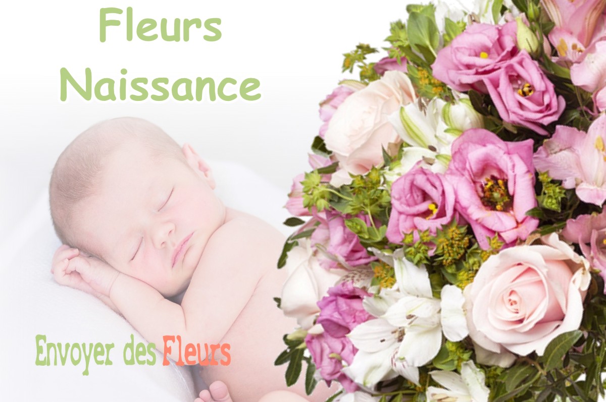 lIVRAISON FLEURS NAISSANCE à BEGAAR